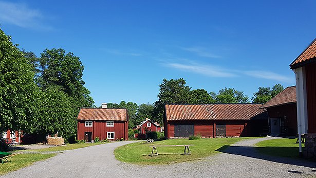 En gårdsplan med flera äldre timmerhus.