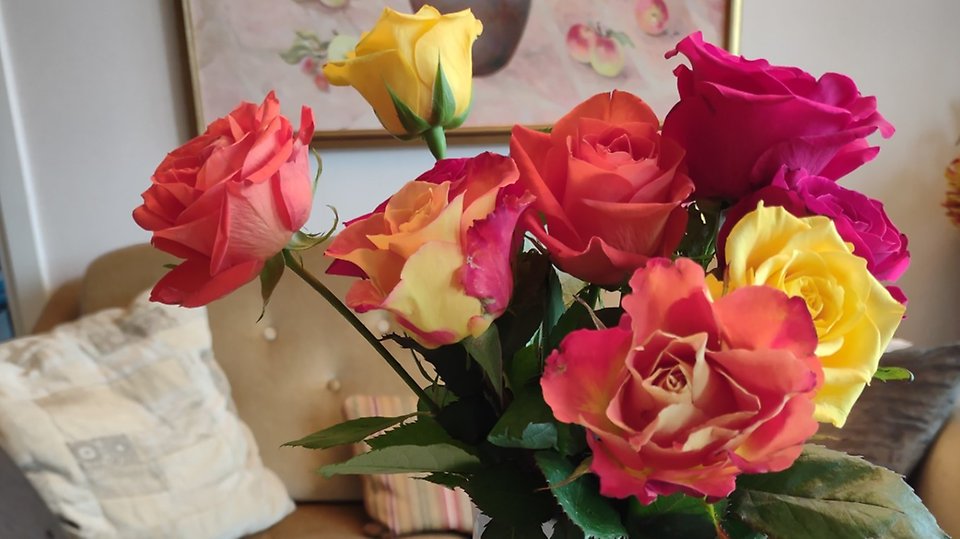 Färgglada blommor i vas