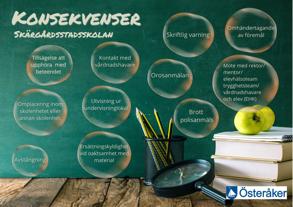 Konsekvenser