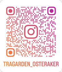Qr-kod. Se länk till Bergagårdens instagramkonto även i texten på sidan.