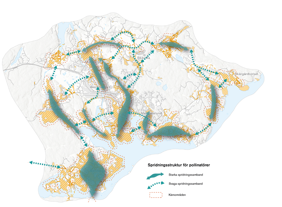Karta med grön infrastruktur samt pilar som visar ekologiska spridningssamband