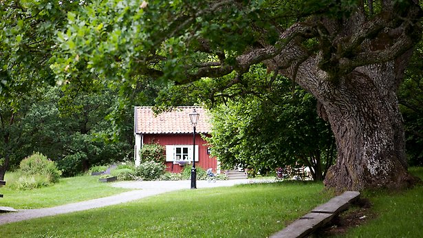 Röd stuga i skogen.