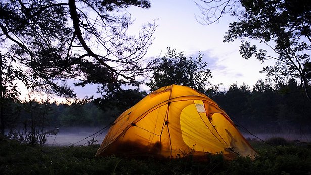 Peron sitter i trädgårdsland och rensar, tittar rakt in i kameran