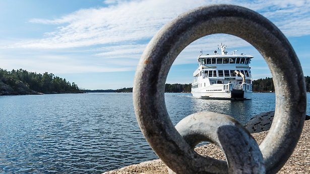 Peron sitter i trädgårdsland och rensar, tittar rakt in i kameran