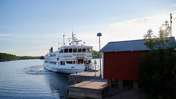 Peron sitter i trädgårdsland och rensar, tittar rakt in i kameran