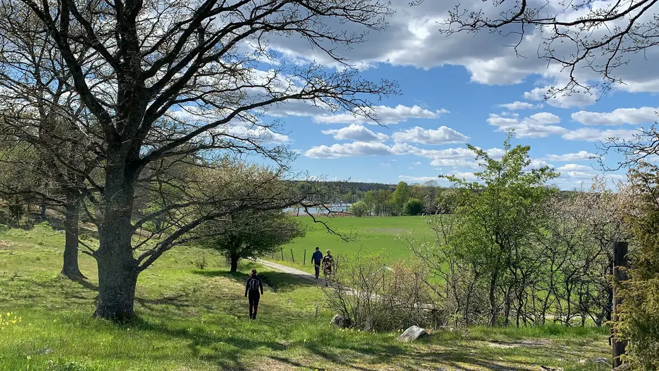 Personer promenerar på en stig genom det öppna landskapet vid Näsuddens naturreservat en solig vårdag.